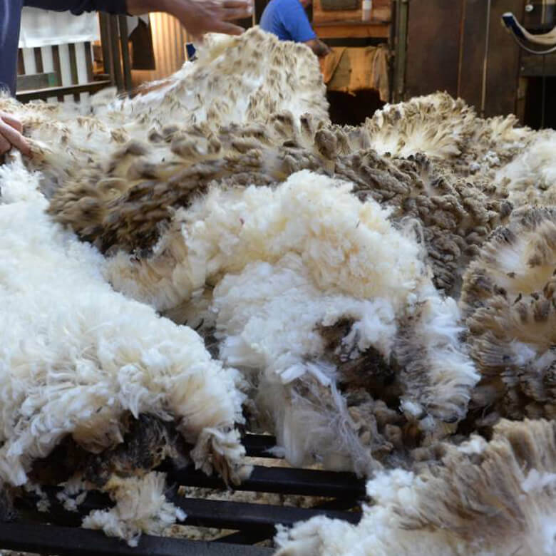 finest quality of wool