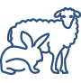 sheep-and-rabbit sheep-and-rabbit